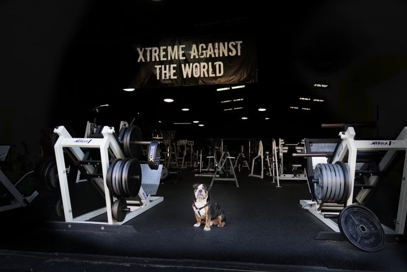 Xtreme Fitness and Performance gym attracts top athletes. Here's how.